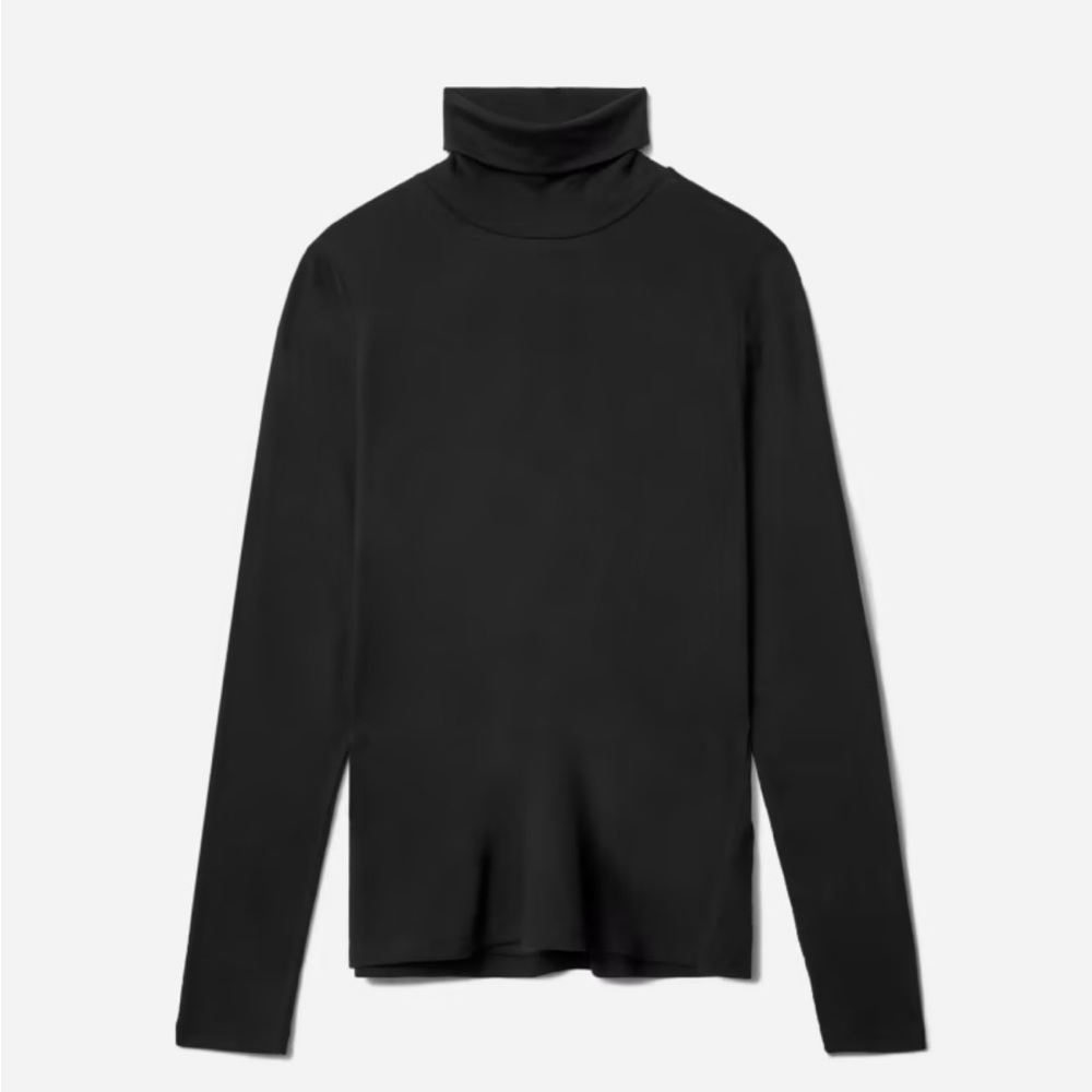 Everlane Black Turtleneck